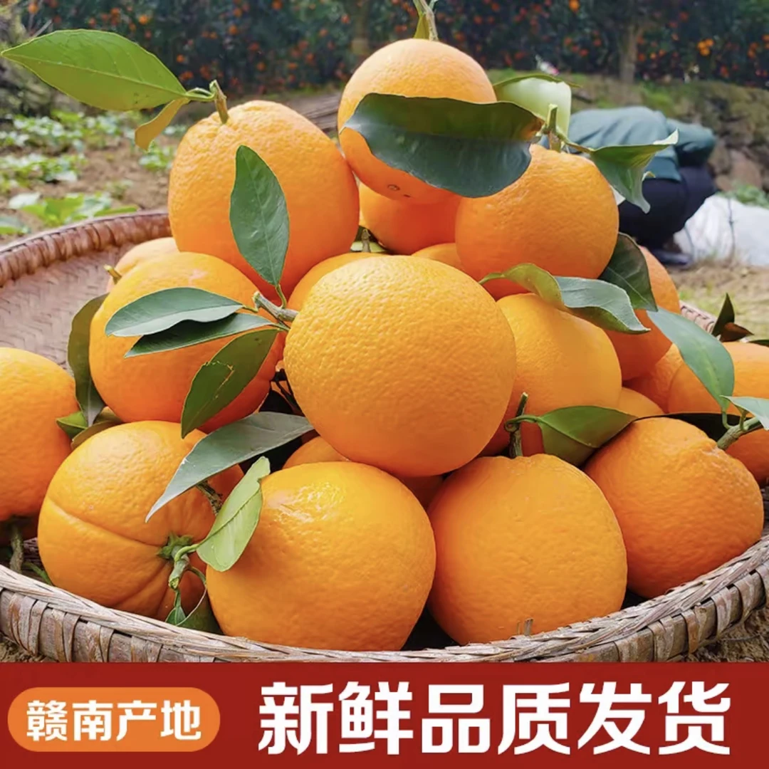 赣南脐橙10斤20斤箱新鲜多汁正宗橙子产地直发当季水果现摘甜橙