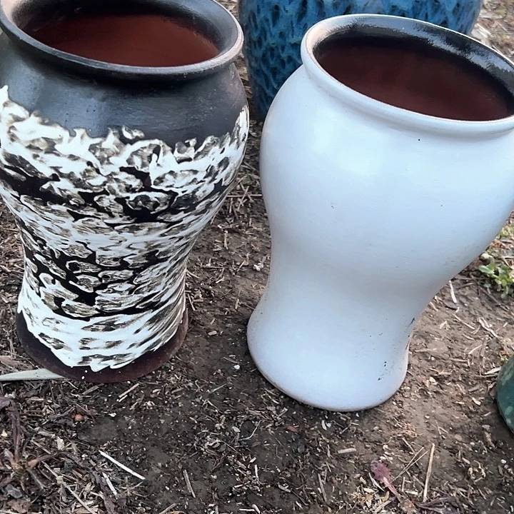 红陶口15:5高28。。。。。。