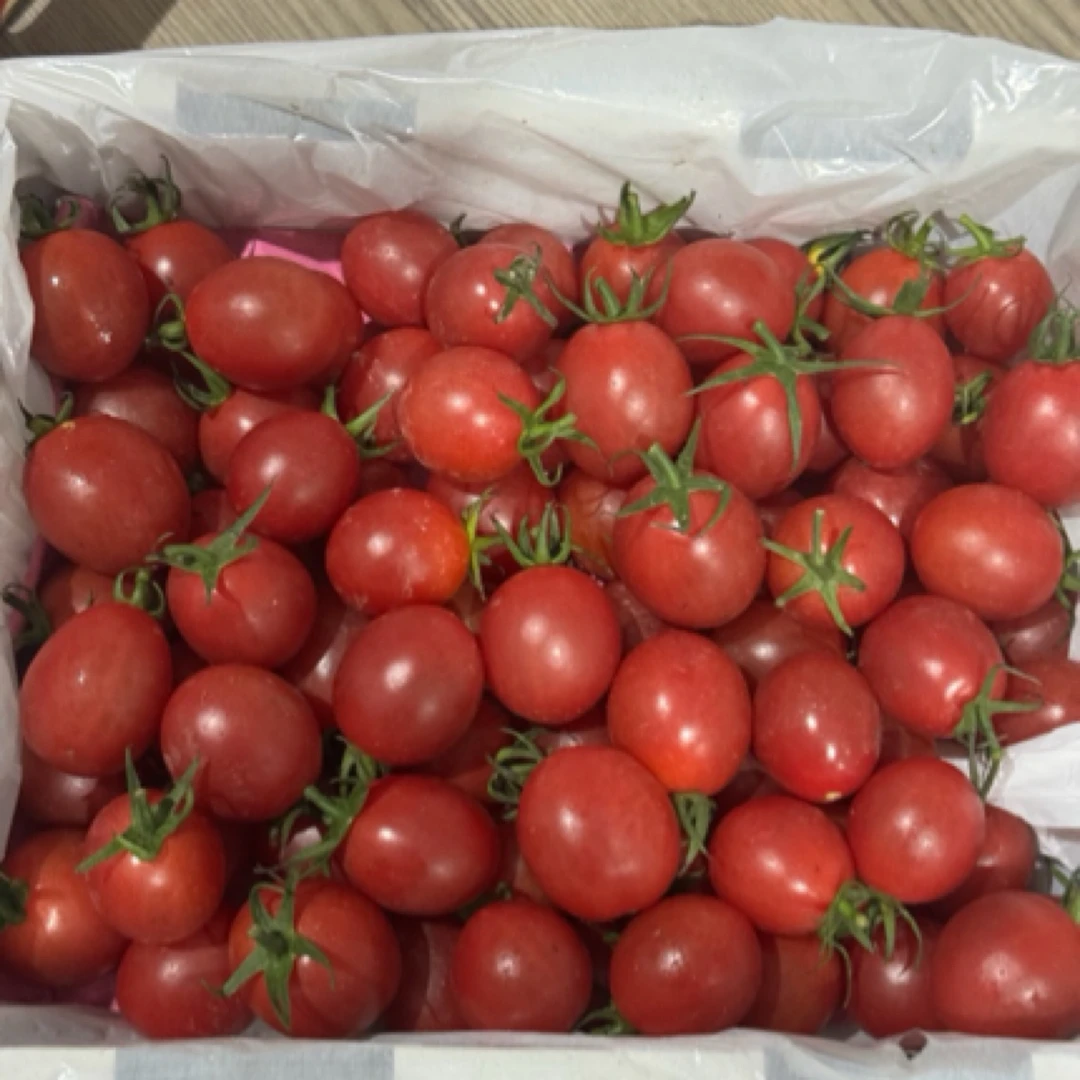 《麦团优选》电白千禧小番茄小柿子圣女果1箱净果2斤左右顺丰包邮