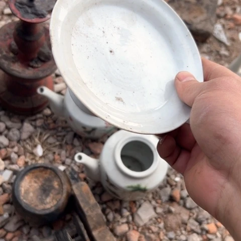 核桃木/黑胡桃（胡桃木）雨*藤