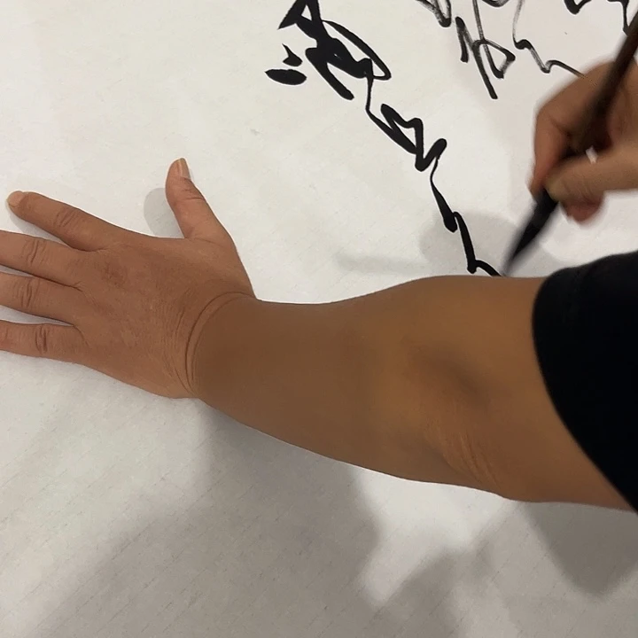 书法我**阳尤老师书法作品醉翁