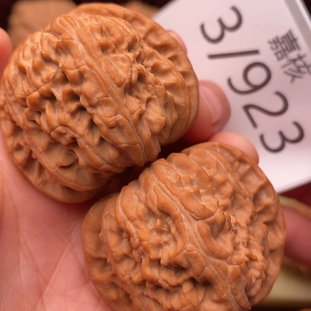 文玩核桃把件42白狮子