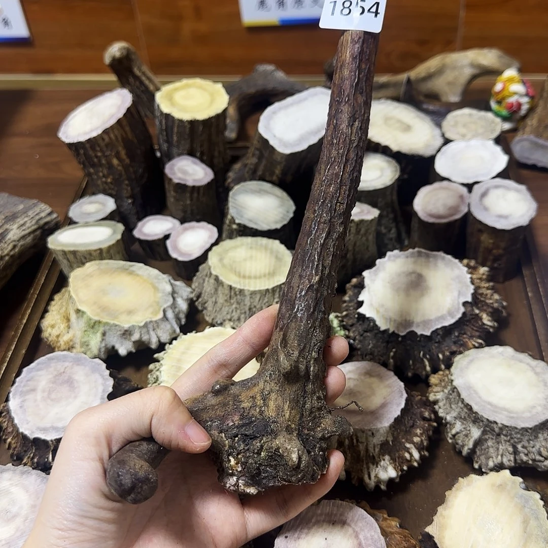 鹿骨手串/手链1854怪角