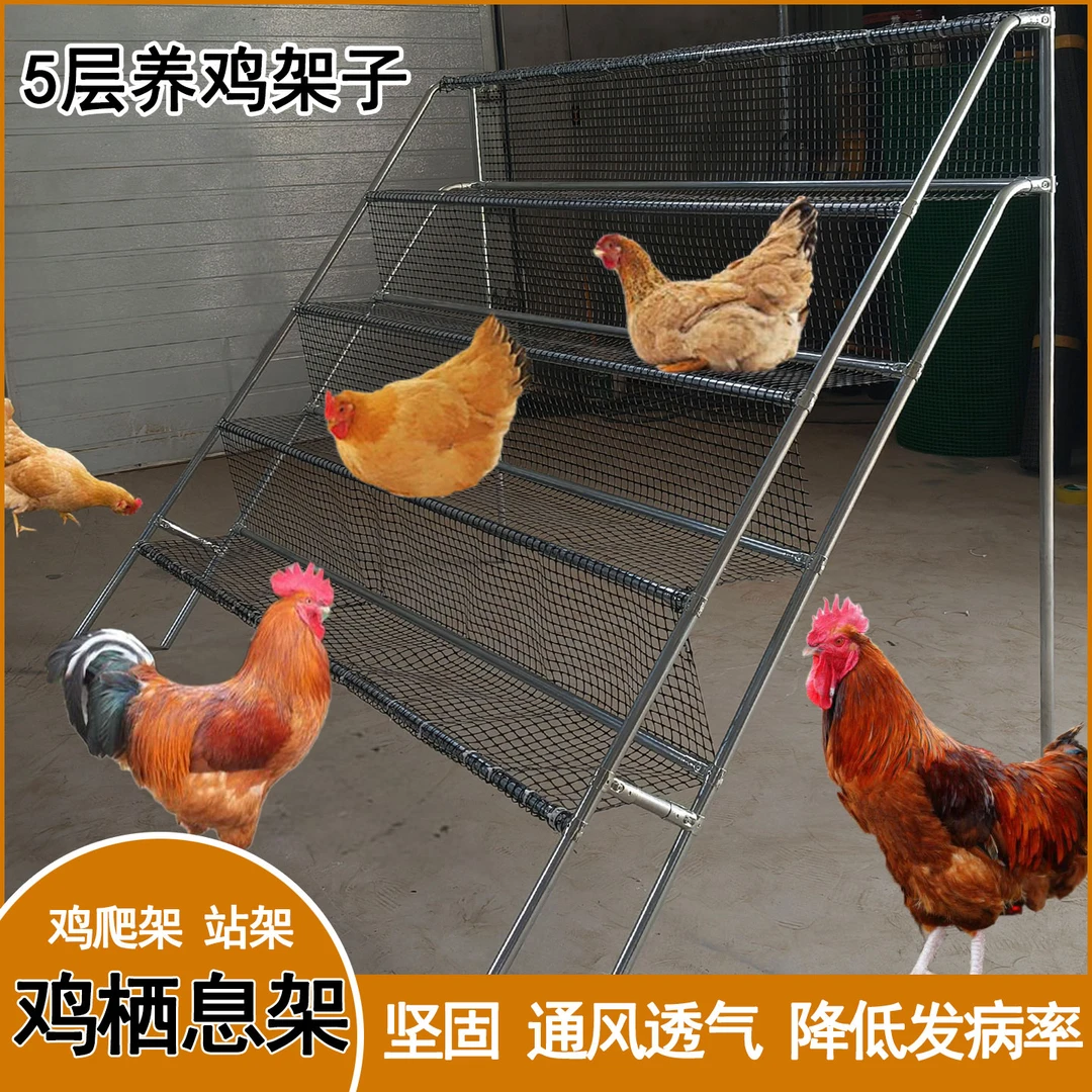 户外鸡架子养鸡网架家禽栖息架鸡爬梯镀锌钢管承重好鸡栖架鸡爬架