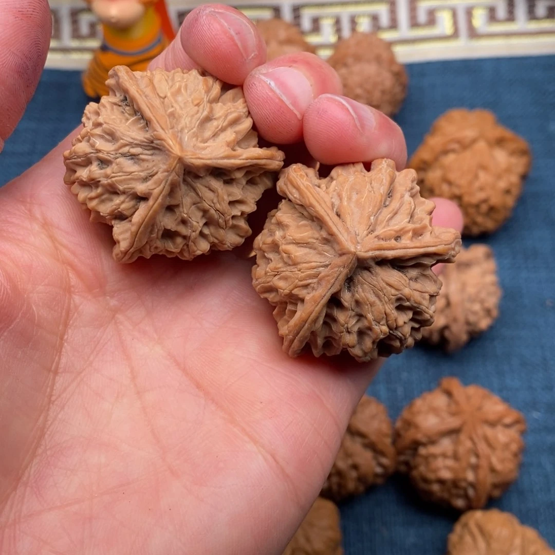 文玩核桃把件38全品毕业爱桩正奔