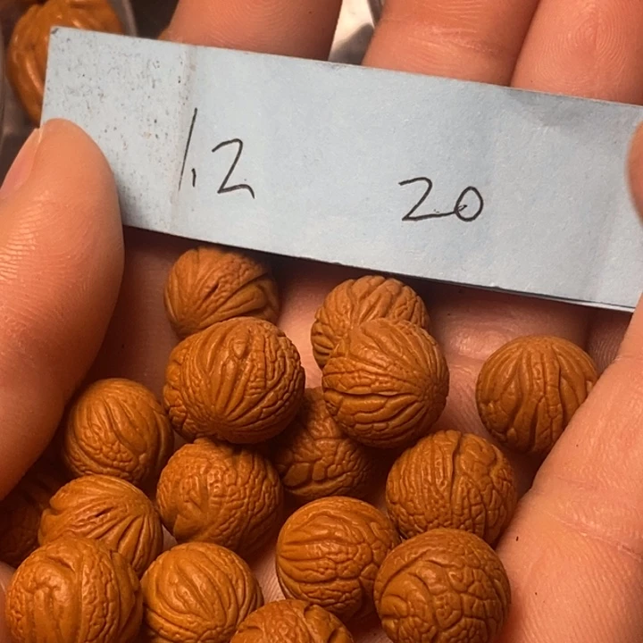 手串桃核陕西国庆桃核