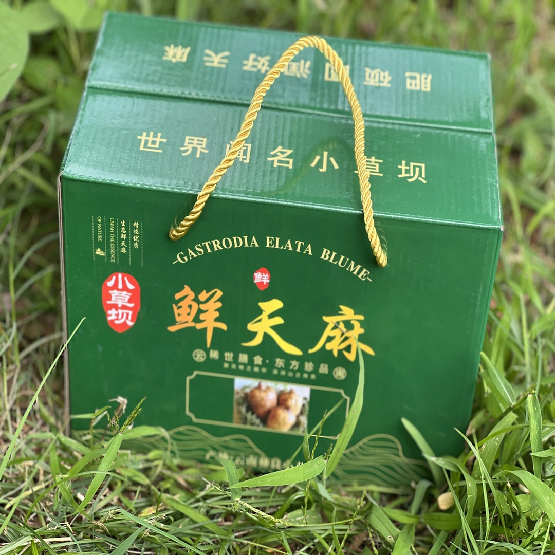 云南昭通小草坝新鲜天麻