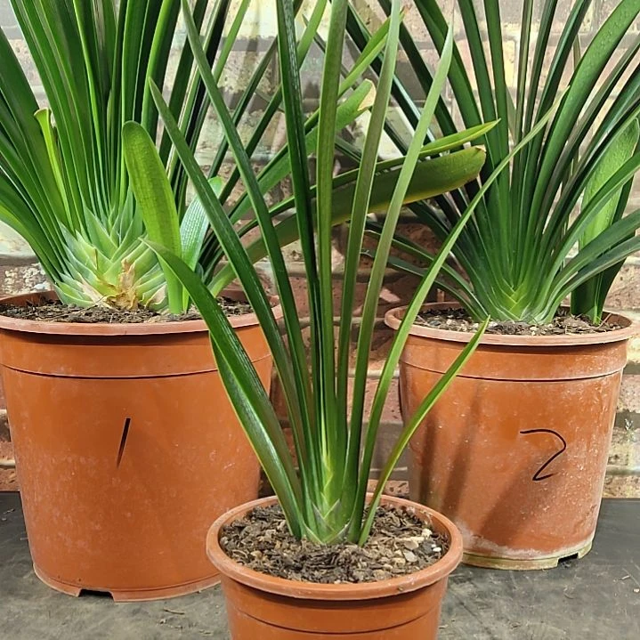 完全开放111111111