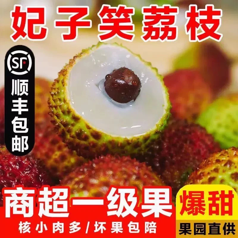 【京东顺丰冷链】小兰广东妃子笑荔枝老树现摘香甜饱满肉厚核小水果