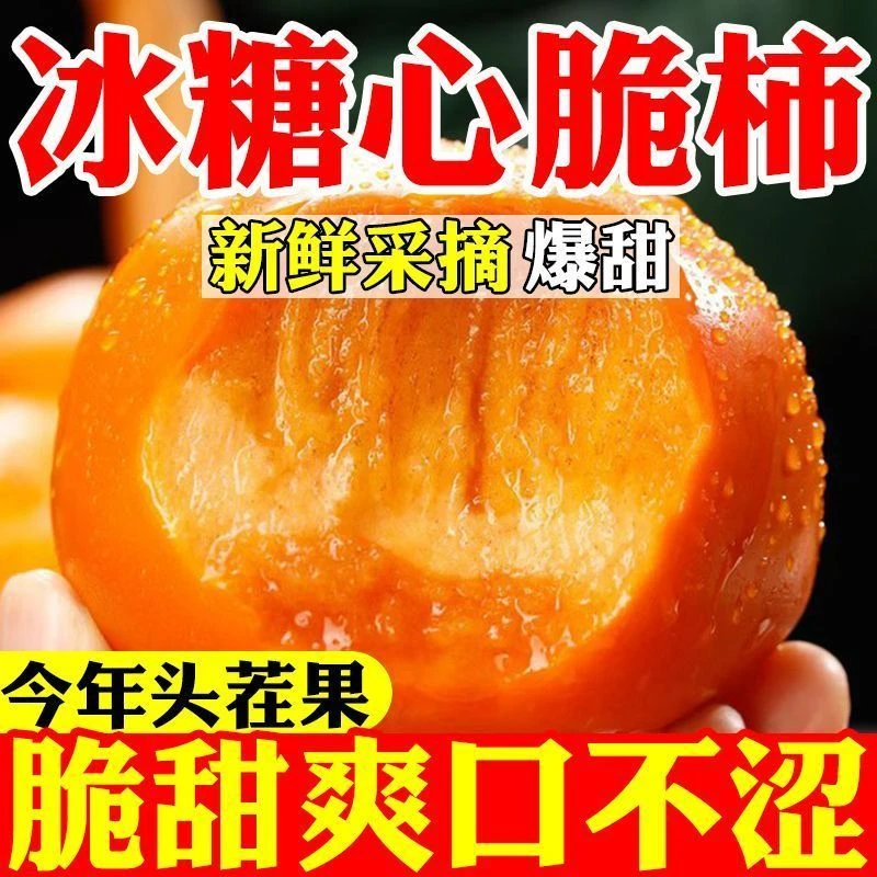 国王【冰糖心脆柿】2025年新鲜采摘香甜多汁山西阳丰脆柿果园直发