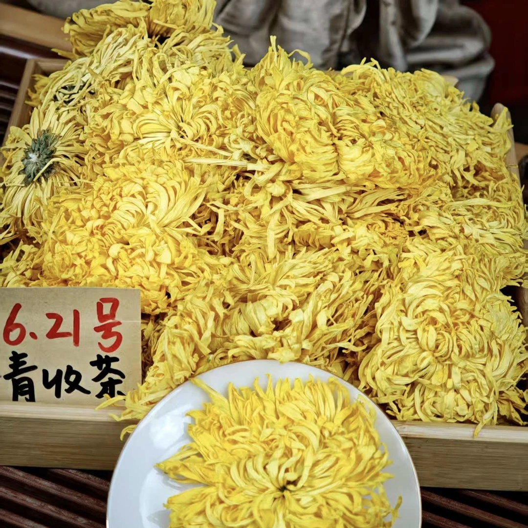 头采花王金丝皇菊 江西修水特大花 冬青收茶