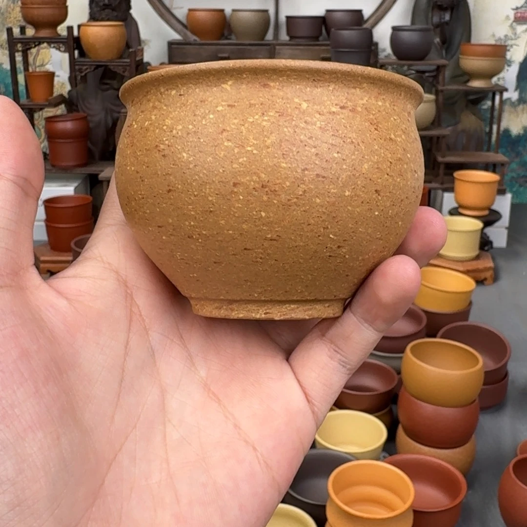 茶杯紫砂558555555425545