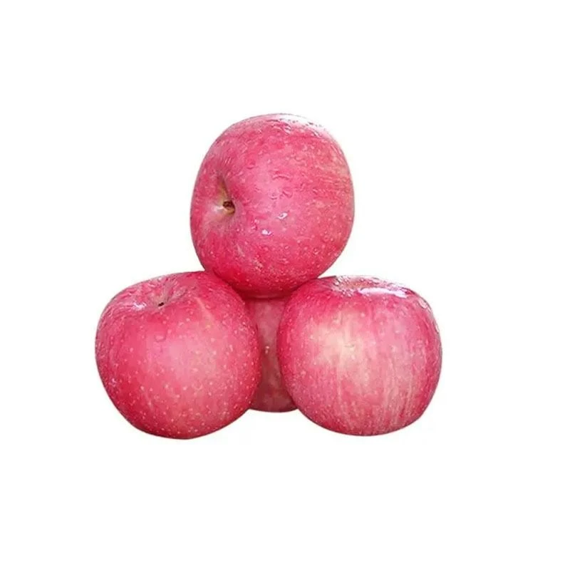 优选 静宁红富士苹果500g/份