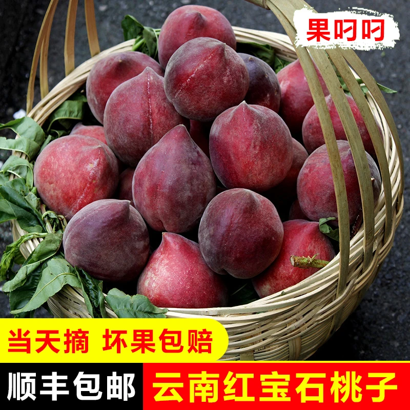 【顺丰】 云南红宝石桃子火焰桃黑美人新鲜水果露天水蜜桃脆甜