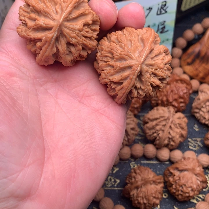 秦岭森林中发现过几株