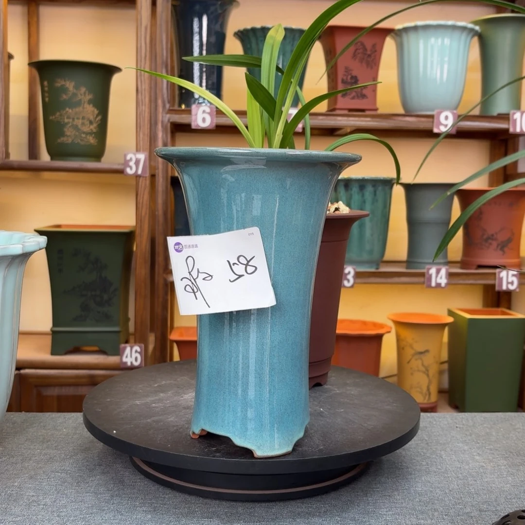 紫砂花盆兰花755655558888