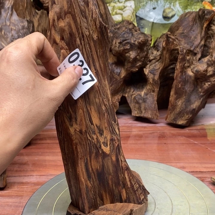 海***鹰木我在外面吃饭呢你80