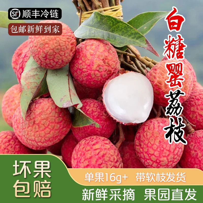 全爸农产品广东白糖罂荔枝新鲜水果老树果3-5斤装 顺丰冷链