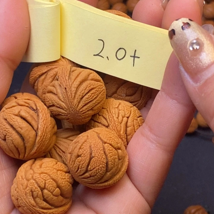 秦岭龙纹桃核13颗