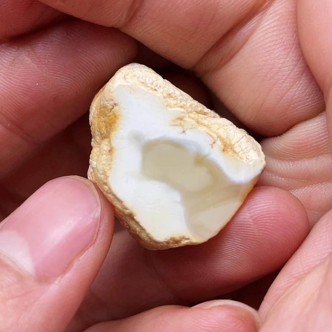 定制琥珀未镶嵌天然蜜蜡