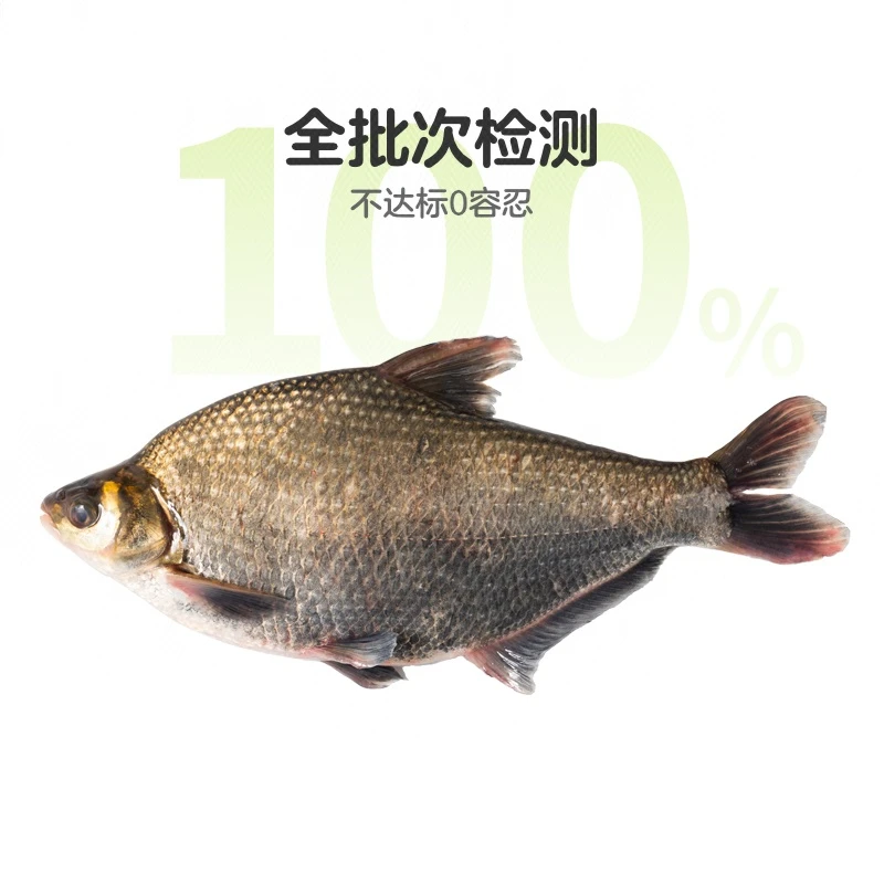 鲜活鄂州武昌鱼1条 约600g