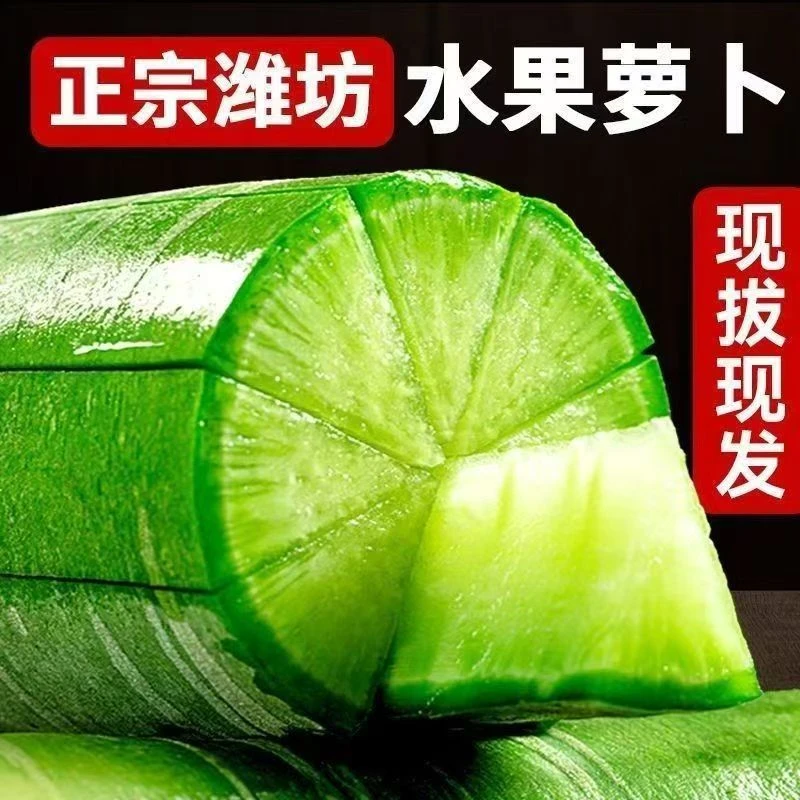 正宗潍坊水果萝卜现拔现发生吃脆甜多汁