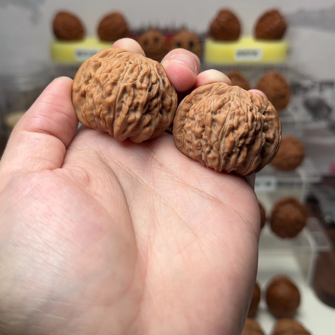 核桃偸*四座楼核桃一对