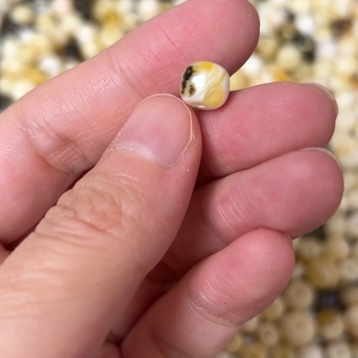 蜜蜡未镶嵌裸石8.1mm一个