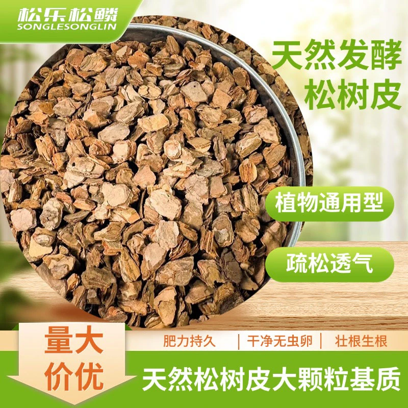 松树皮养花！透气保水全搞定，松树皮松鳞兰花专用植料覆盖有机物