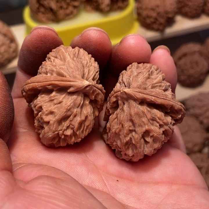 文玩核桃白狮子半壁