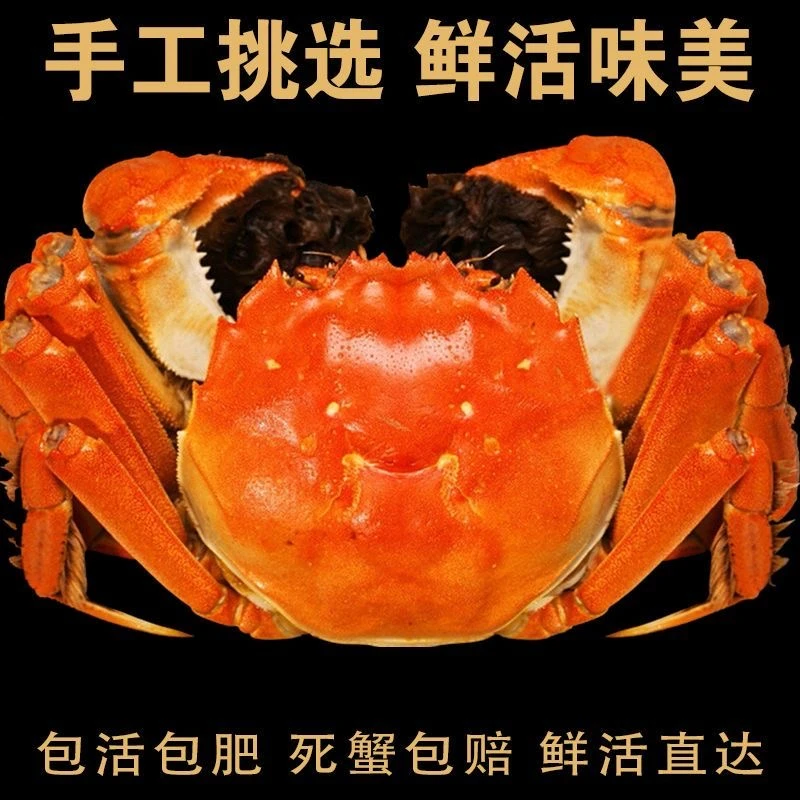 【活蟹】现捕现捞大闸蟹公6-5.7两母4-3.7两共10只 H