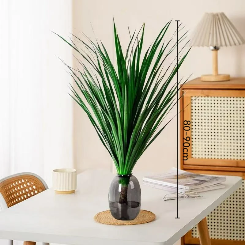 【不带瓶】水培黑珍珠龙血树80-90cm客厅绿植室内盆栽四季常绿好养