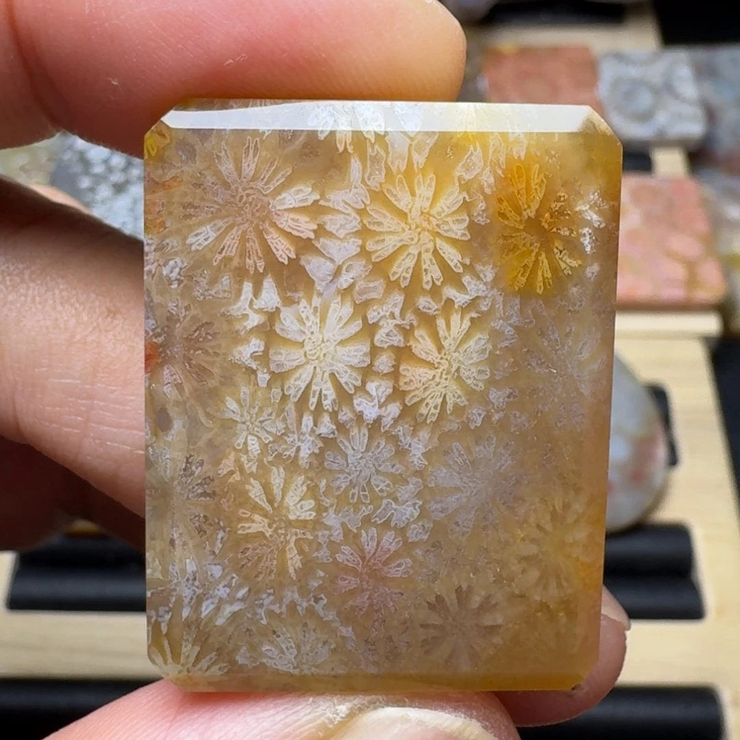 硅化玉未镶嵌纯天然色有机玉石保真色