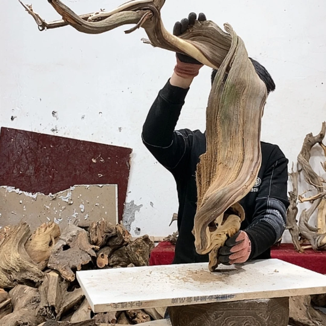 【闪购商品】柏木努****。我们都是好孩子