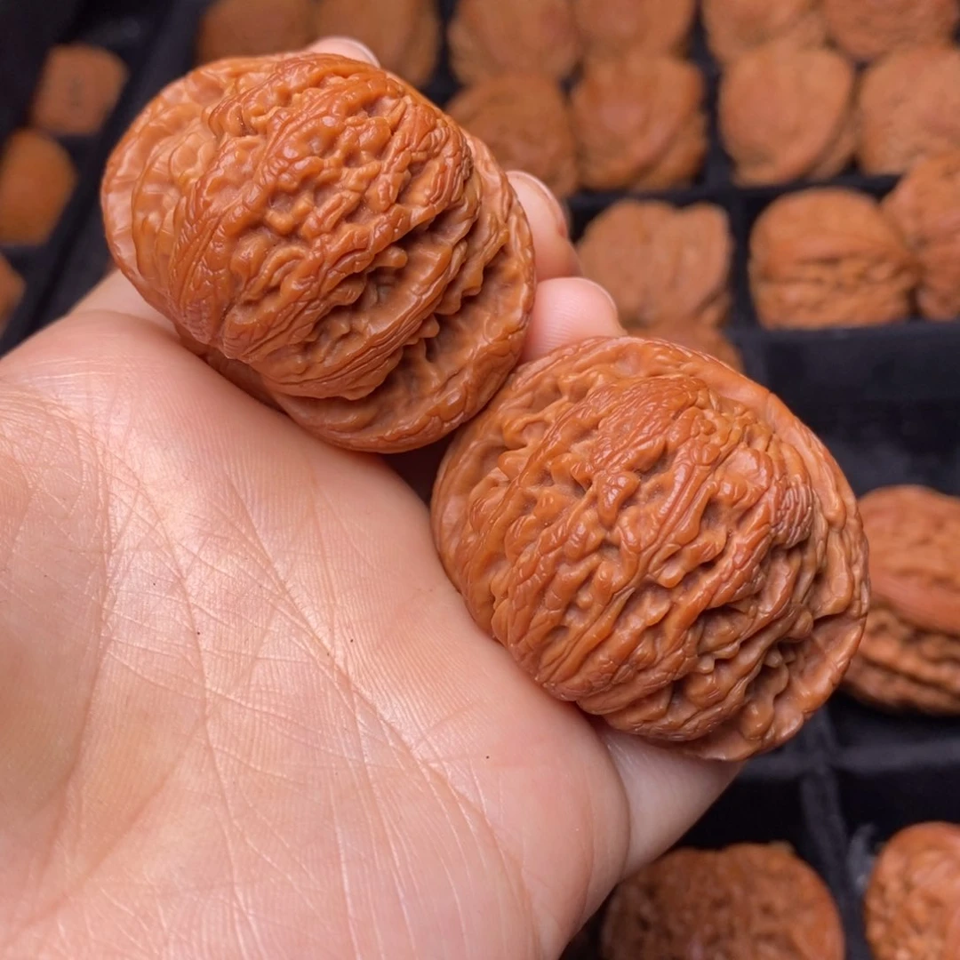 秦岭野生文玩核桃