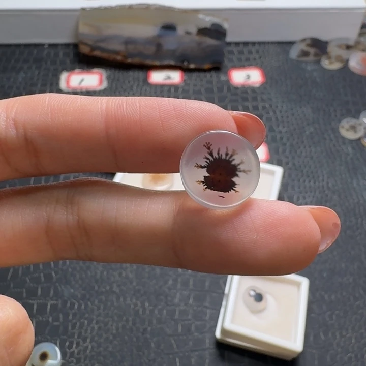 敬***阁玛瑙/玉髓未镶嵌珠宝奇石