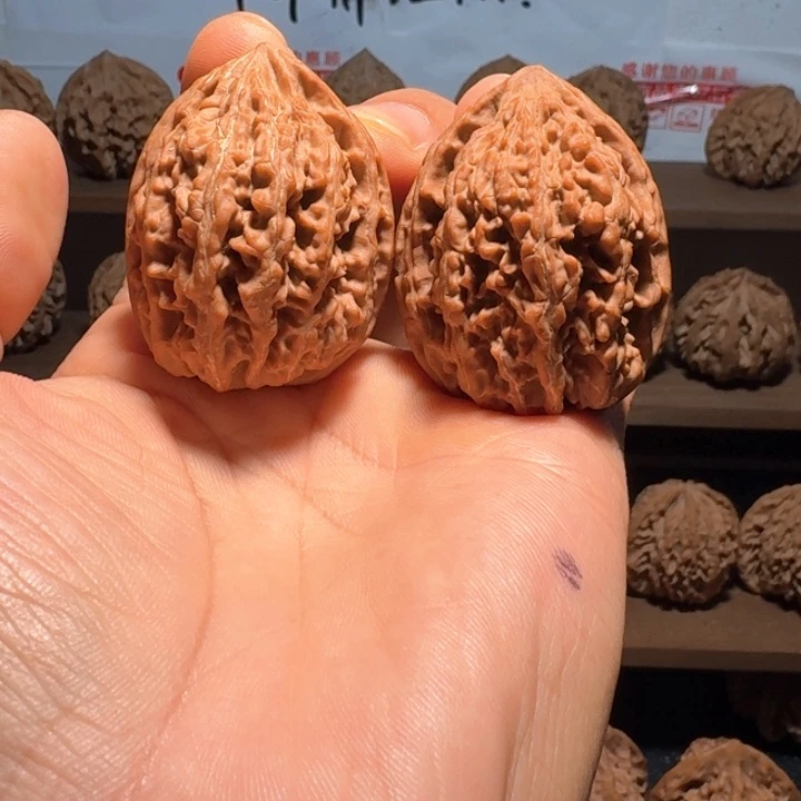 予***、秦岭野生无名鸡心