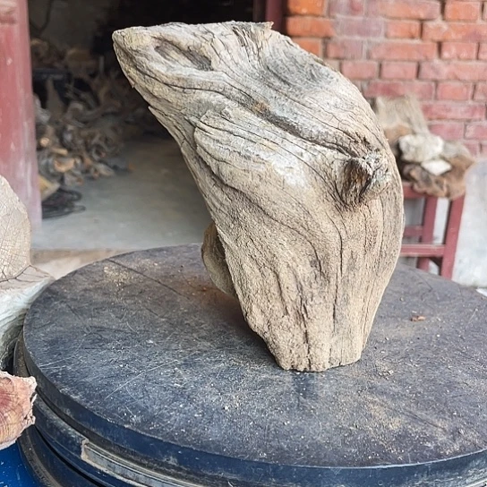 道***近香榧木崖柏崖柏崖柏崖柏崖柏