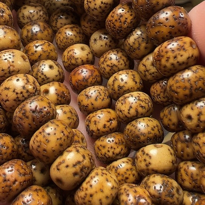 我们都是在这里看到的哈我们