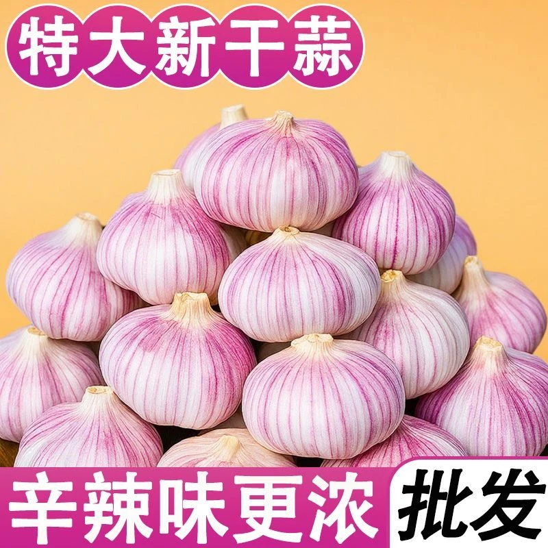 河南大蒜5斤蒜头干蒜2025年新蒜大蒜头独头蒜紫白皮农家新鲜蔬菜