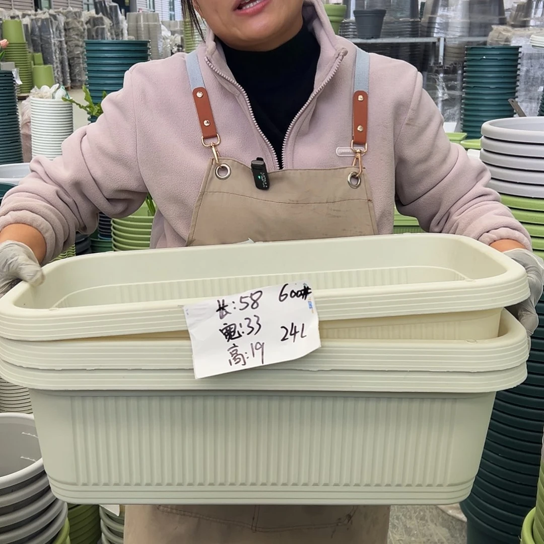 菜盆600#米白色3个无托