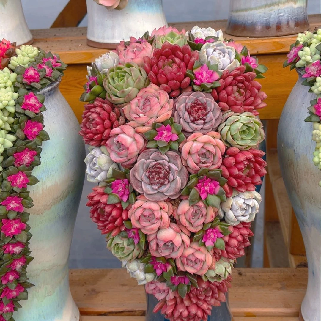 这个是真的很好看004