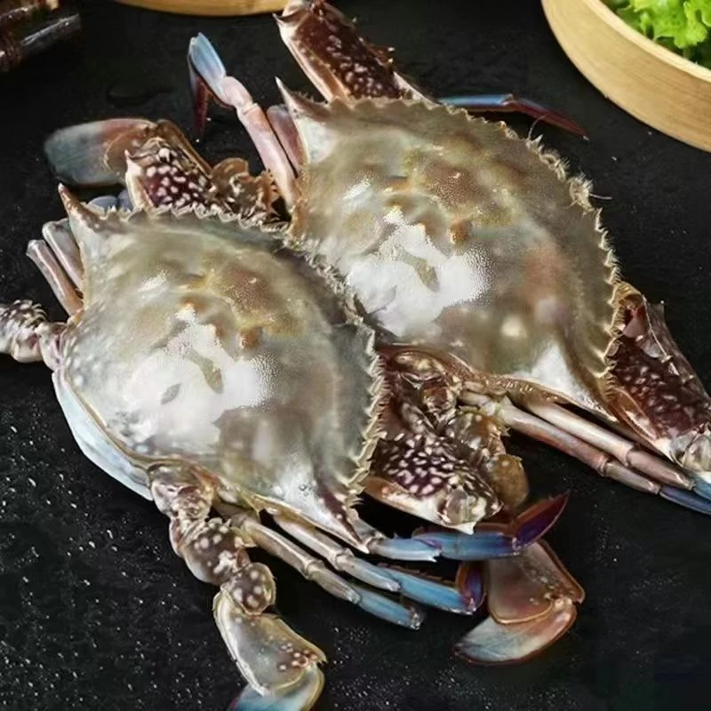 【冻蟹爆炒】 连云港 母蟹 3-4两左右/只4斤装液氮速冻到手不是活的