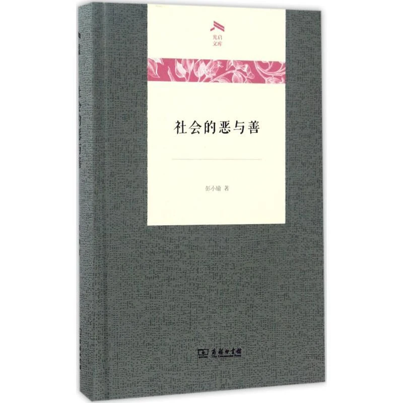 正版 社会的恶与善 彭小瑜 9787100170