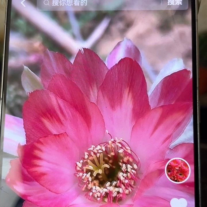 迈克4公分满18包邮