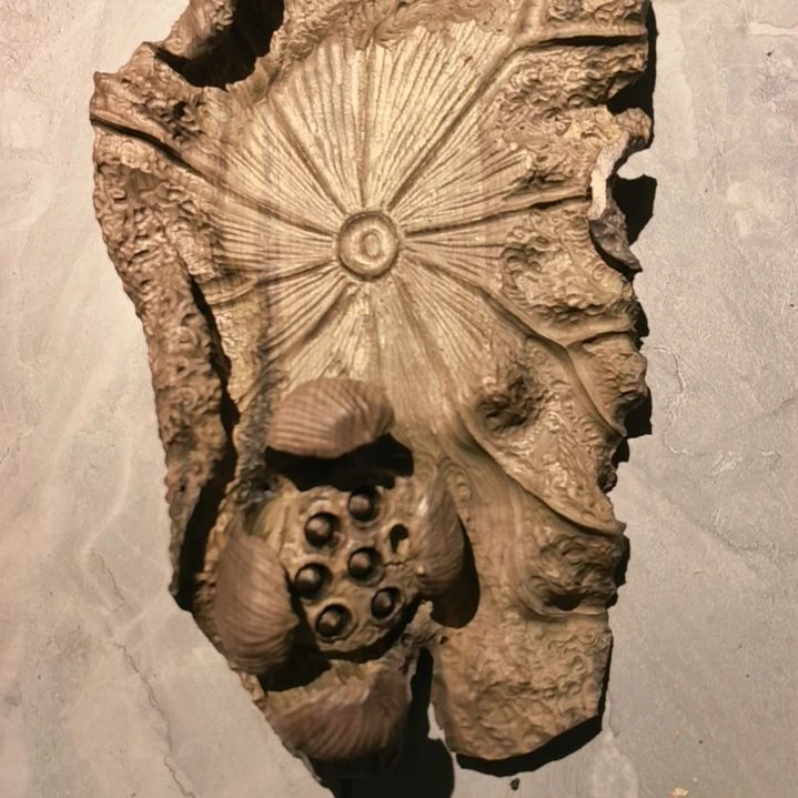 织***君阴沉木手工壶承小叶金丝楠木。