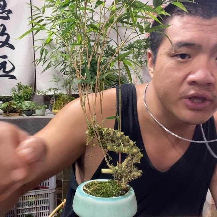 释***超无花朵退款拉黑拉黑253