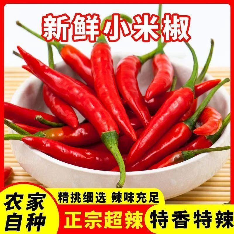 新鲜采摘特辣小米椒红辣椒朝天椒批发手工挑选农家自种小米椒