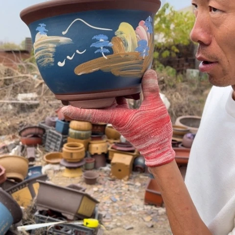 花盆紫砂特价包邮送盒