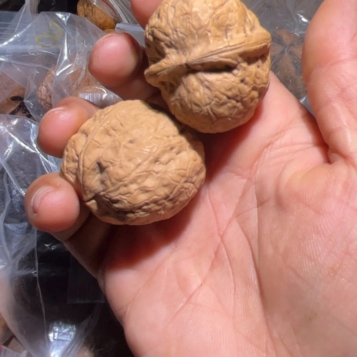 文玩核桃吊坠滇西101